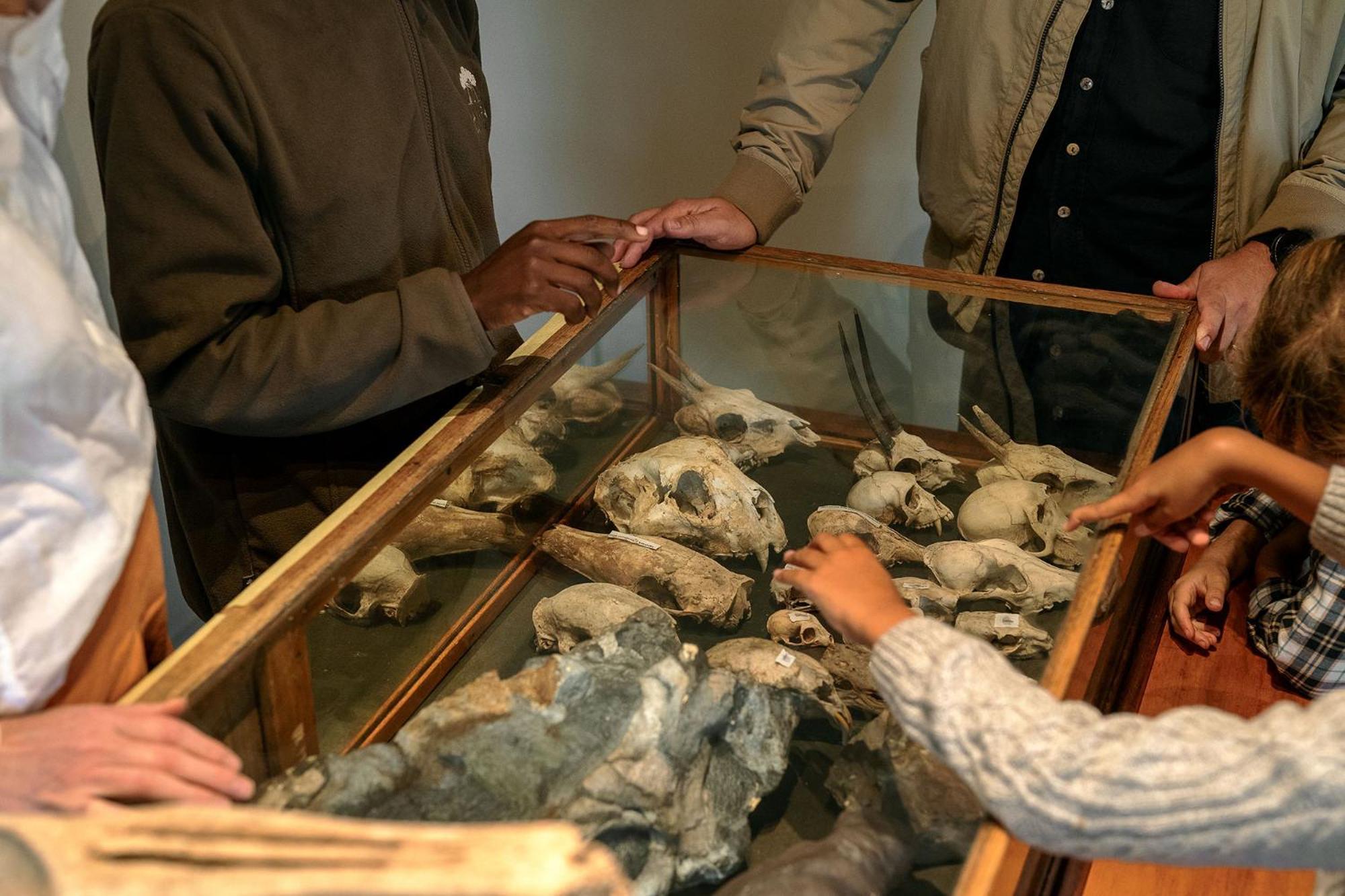 Samara Karoo Reserve Graaff-Reinet Exteriér fotografie