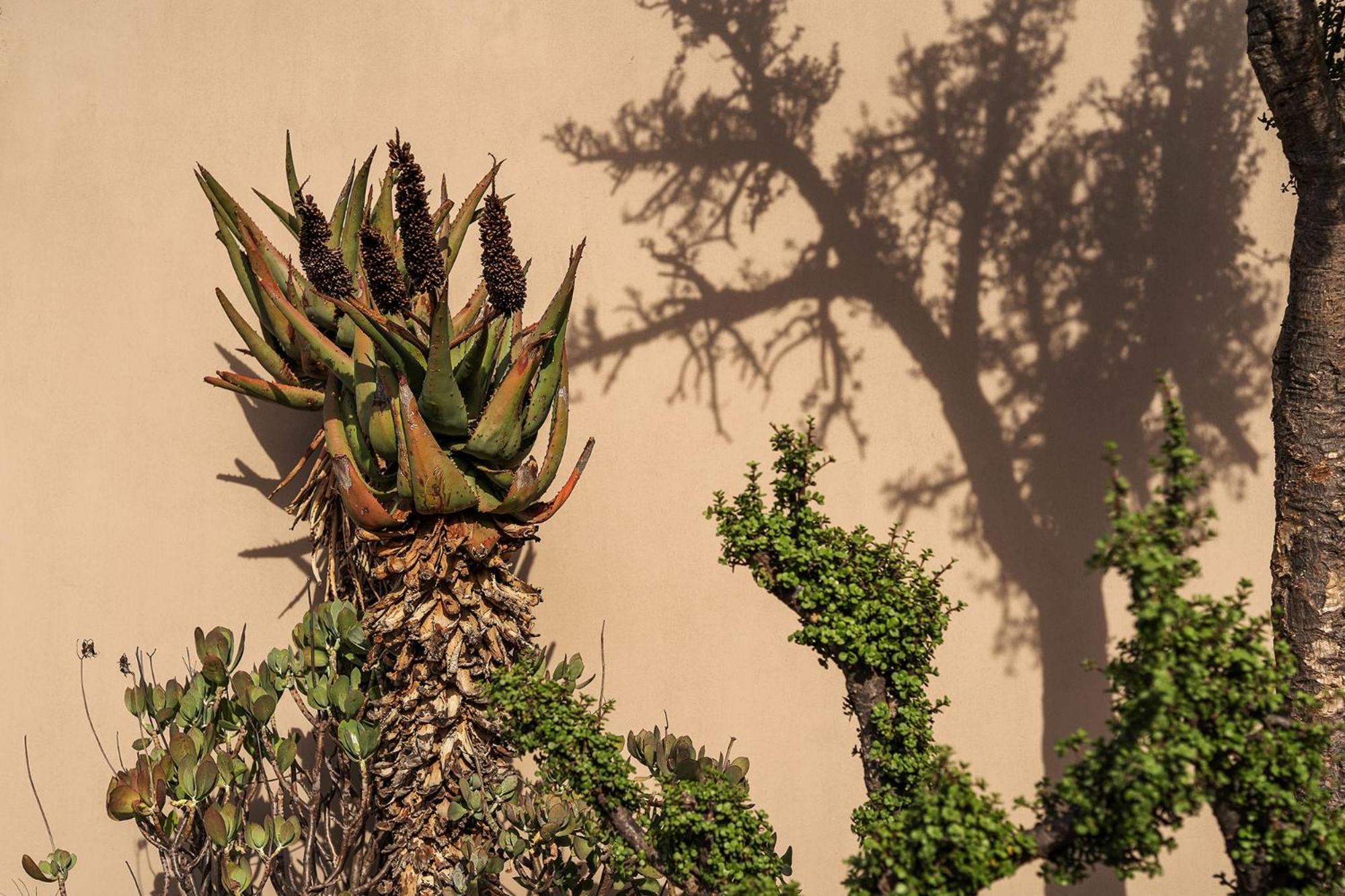 Samara Karoo Reserve Graaff-Reinet Exteriér fotografie