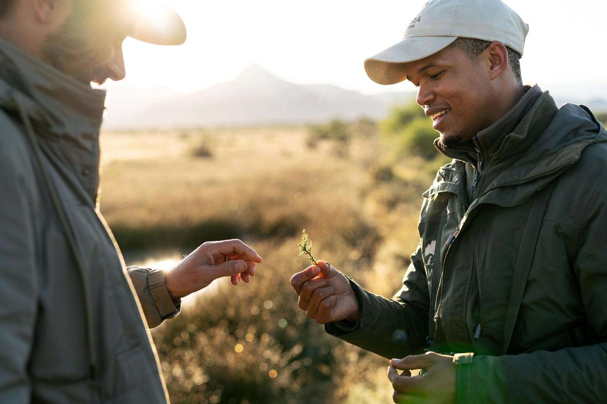 Samara Karoo Reserve Graaff-Reinet Exteriér fotografie