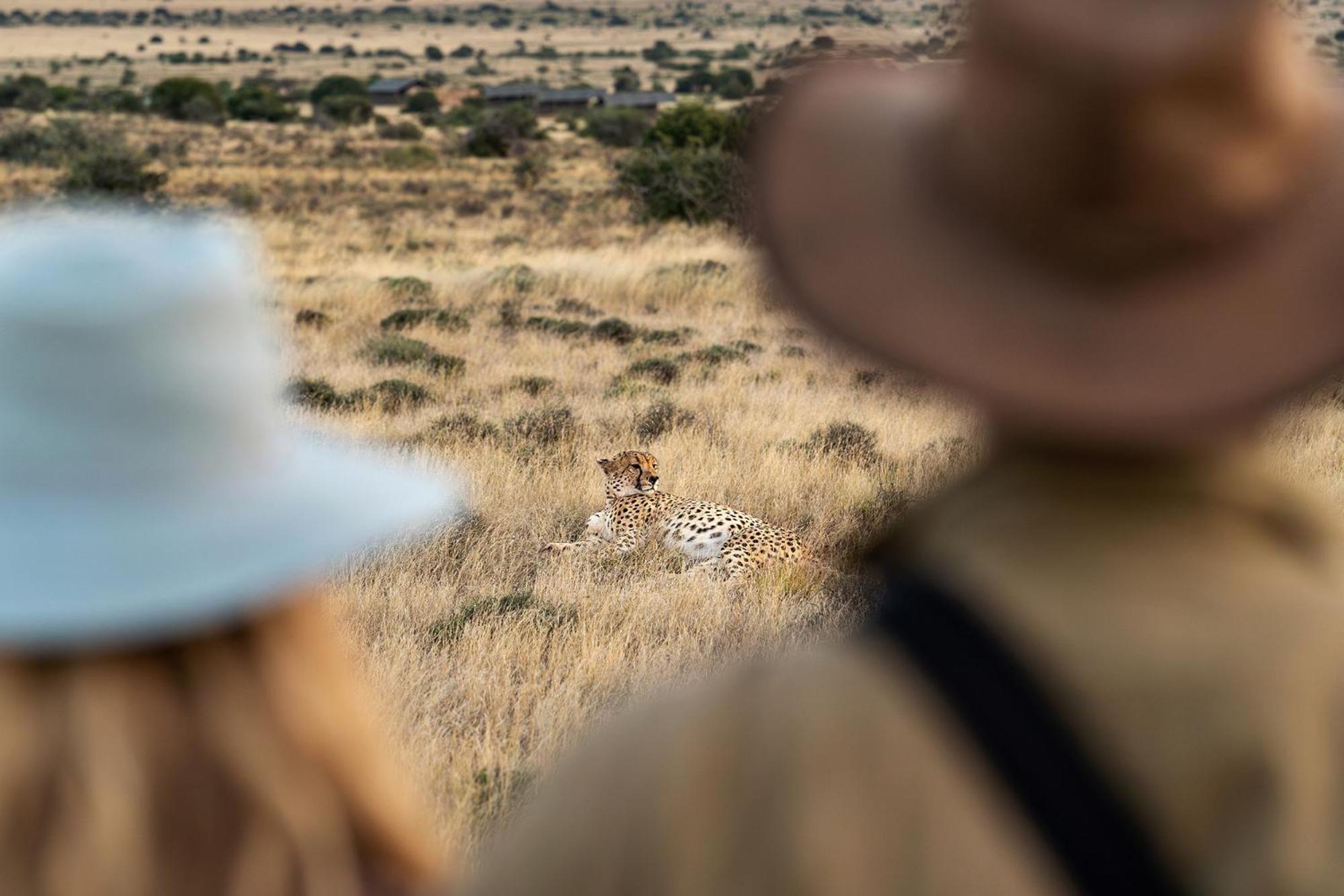 Vila Samara Karoo Reserve Graaff-Reinet Exteriér fotografie