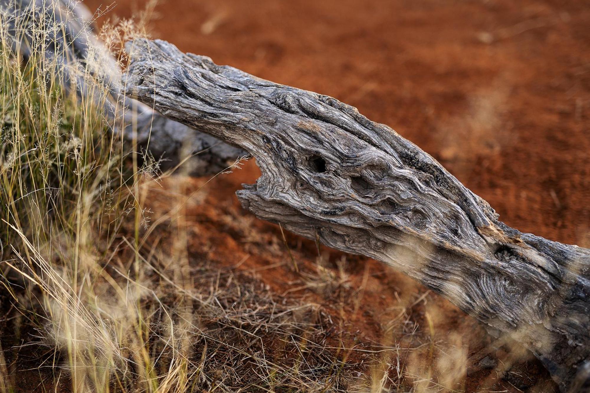 Samara Karoo Reserve Graaff-Reinet Exteriér fotografie